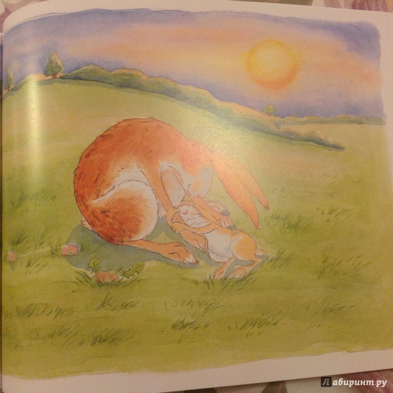 Иллюстрация 43 из 82 для Куда уложить зайчонка? - Шеридан Кейн | Лабиринт - книги. Источник: Selfishbaby