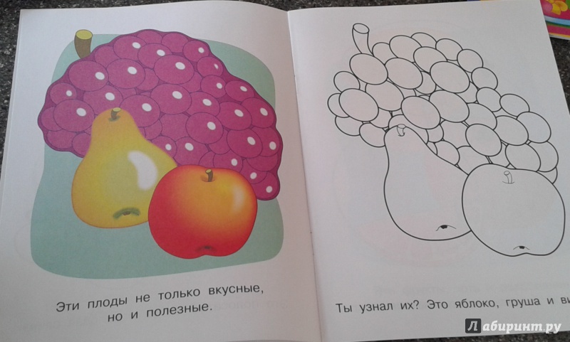 Иллюстрация 10 из 14 для Фрукты и ягоды. Малинка | Лабиринт - книги. Источник: Док-2509