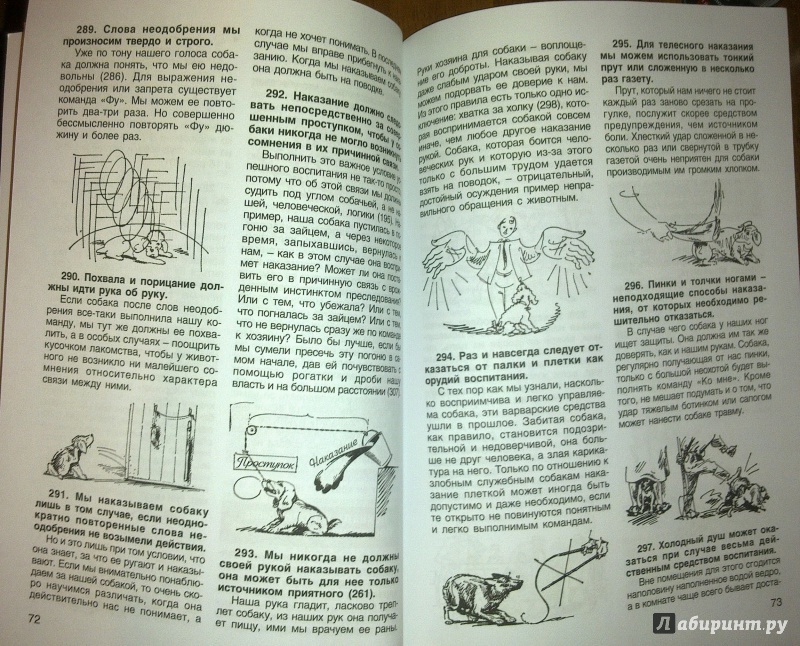 Иллюстрация 4 из 16 для 400 советов любителю собак - Манфред Кох-Костерзиц | Лабиринт - книги. Источник: Татьяна Г.