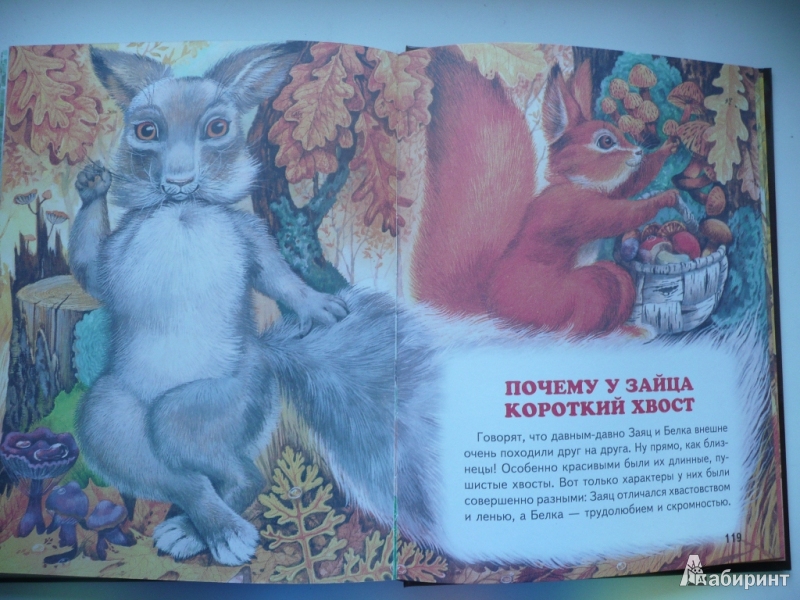 Иллюстрация 18 из 39 для Сказки из леса | Лабиринт - книги. Источник: Triss