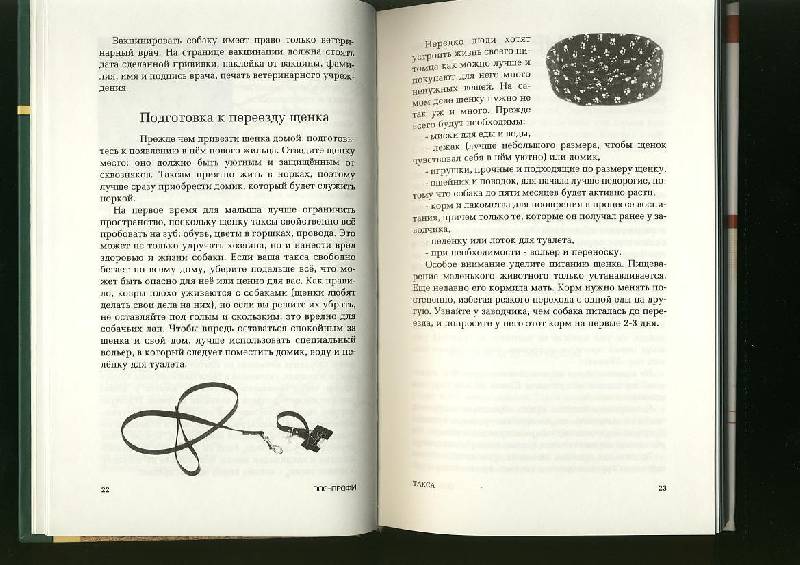 Иллюстрация 6 из 10 для Такса - Наталия Ришина | Лабиринт - книги. Источник: ЛиС-а