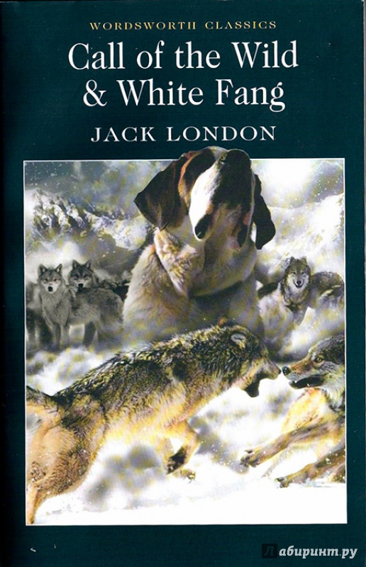 Иллюстрация 2 из 22 для The Call of the Wild and White Fang - Jack London | Лабиринт - книги. Источник: .  Михаил