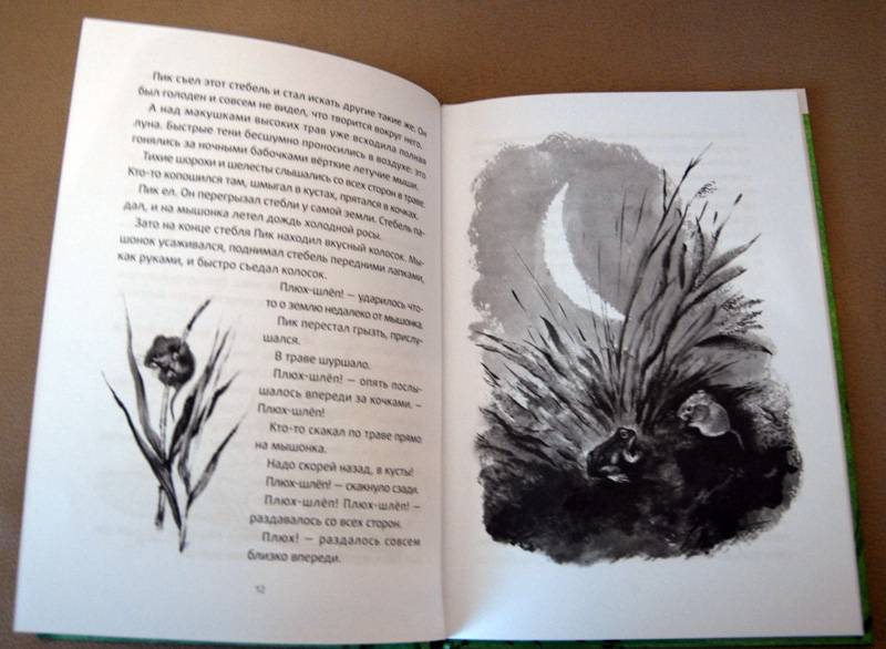 Иллюстрация 4 из 9 для Мышонок Пик - Виталий Бианки | Лабиринт - книги. Источник: Корнеева Анастасия Сергеевна