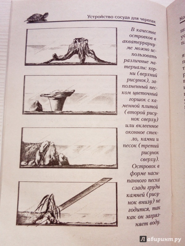 Иллюстрация 8 из 10 для Пресноводные черепахи. Содержание. Кормление - Райнер Прашага | Лабиринт - книги. Источник: книгофобия