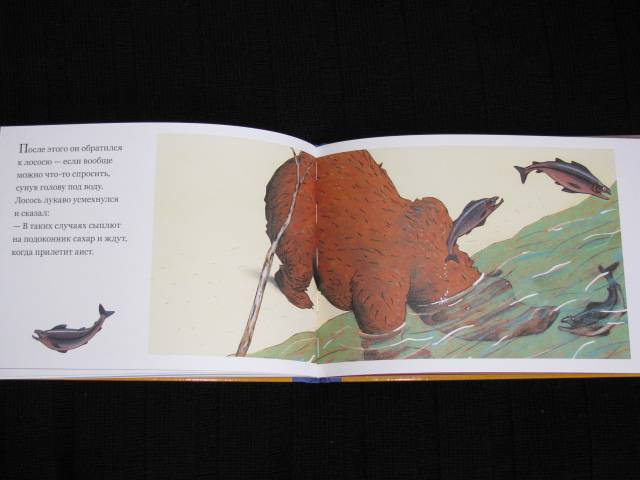 Иллюстрация 34 из 38 для Медвежье чудо - Вольф Эрльбрух | Лабиринт - книги. Источник: Nemertona