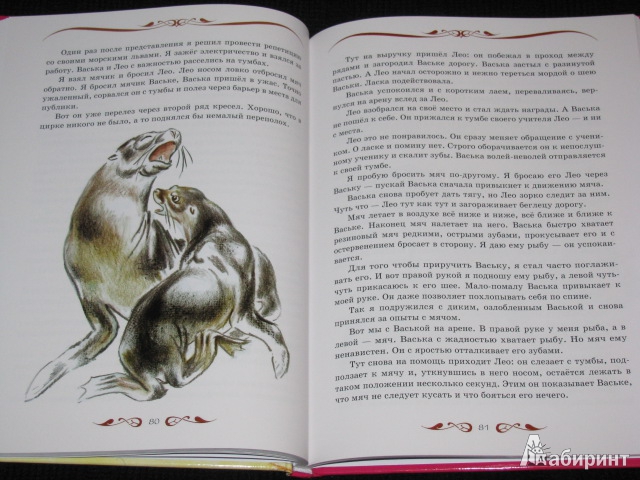 Иллюстрация 6 из 31 для Мои звери - Владимир Дуров | Лабиринт - книги. Источник: Nemertona