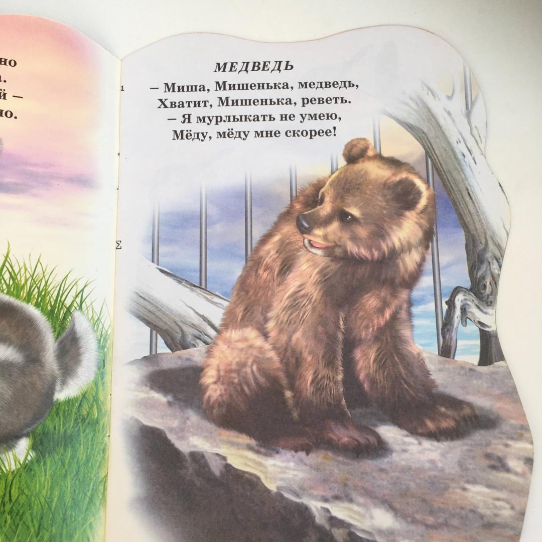 Иллюстрация 6 из 8 для В зоопарке №2 (медведь) - Елена Михайленко | Лабиринт - книги. Источник: Фролов  Аркадий