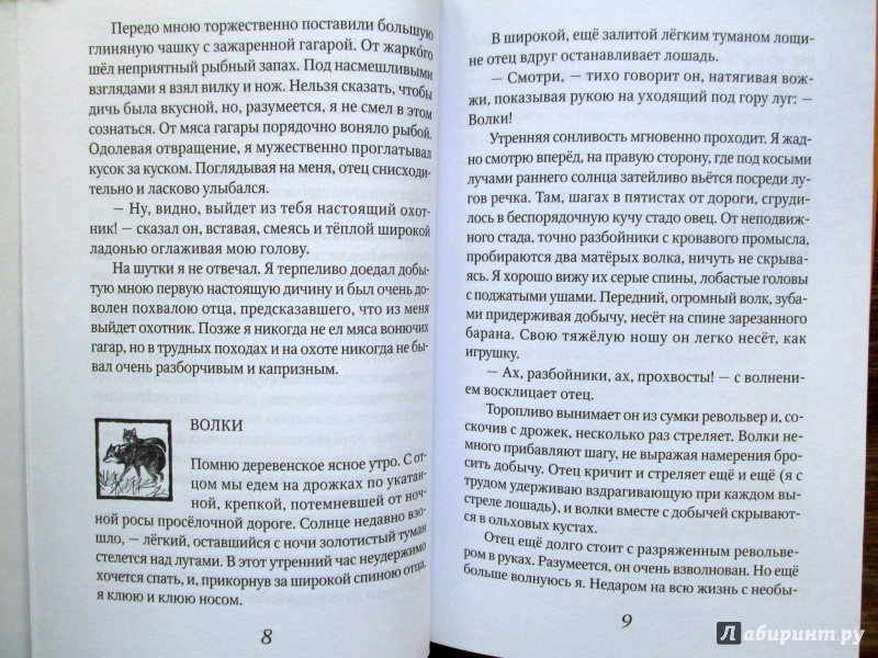 Иллюстрация 6 из 16 для Лесные рассказы - Иван Соколов-Микитов | Лабиринт - книги. Источник: Зеленая шляпа
