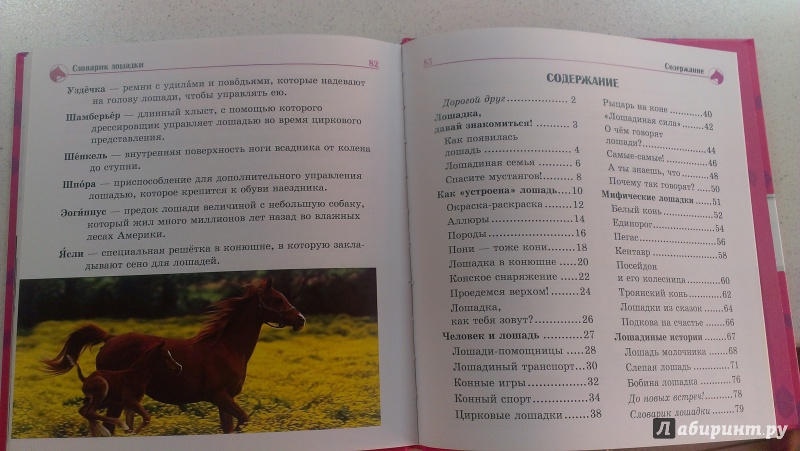 Иллюстрация 14 из 18 для Самое интересное о... лошадях | Лабиринт - книги. Источник: Арта  Елена