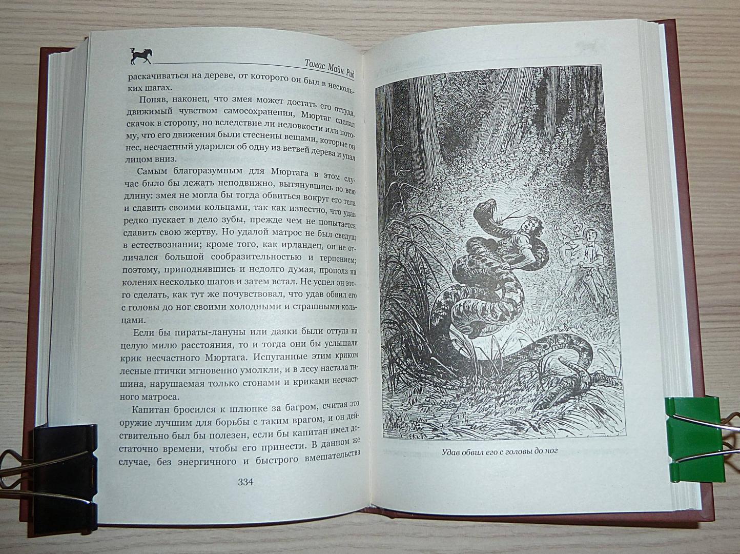 Иллюстрация 50 из 55 для Морской волчонок, или на дне трюма. Скитальцы Борнео, или Капитан Редвуд - Рид Майн | Лабиринт - книги. Источник: Взял на карандаш.