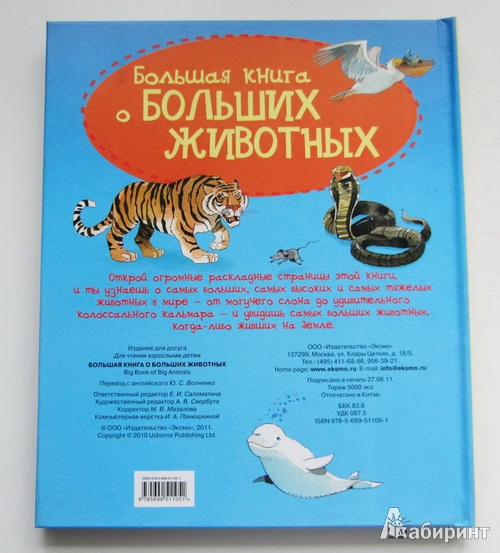 Иллюстрация 12 из 14 для Большая книга о больших животных. Для детей от 4 лет | Лабиринт - книги. Источник: priTA