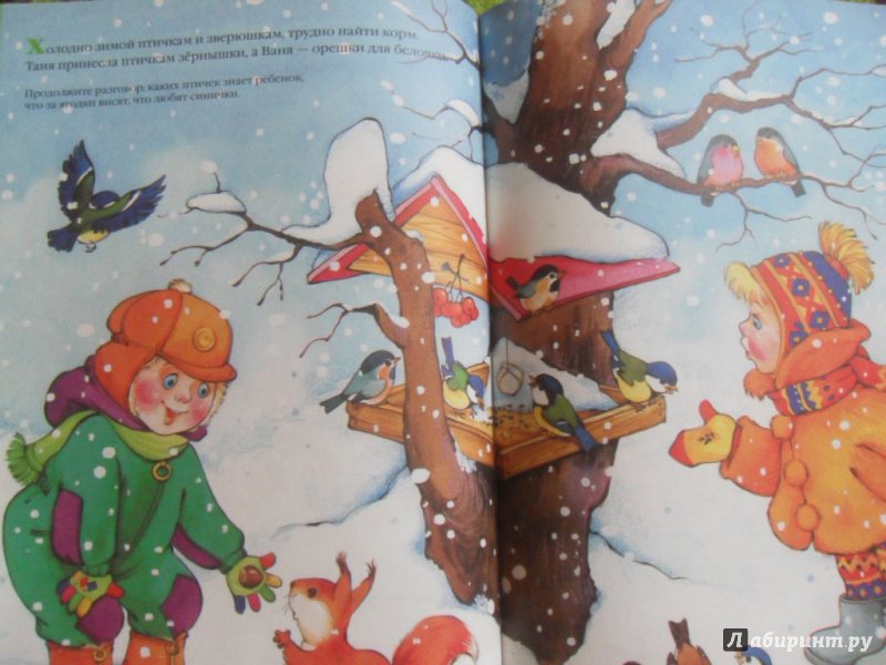 Иллюстрация 28 из 60 для Книга-мечта о прогулках зимой и летом, о больших и маленьких и другие истории про меня - Колдина, Савушкин, Разенкова | Лабиринт - книги. Источник: knigolyub
