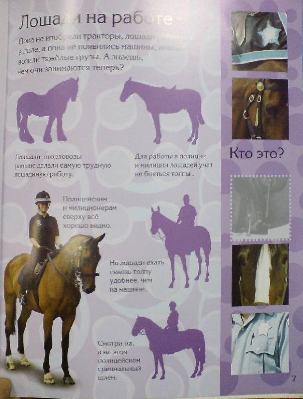 Иллюстрация 6 из 17 для Мои любимые лошадки | Лабиринт - книги. Источник: Настёна