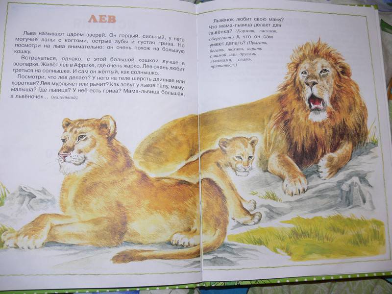 Иллюстрация 11 из 20 для О диких и домашних животных. 2-4 года | Лабиринт - книги. Источник: Irbis