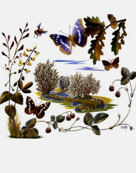 Иллюстрация 9 из 41 для Бабочки. Практическое руководство - Хелен Стивенс | Лабиринт - книги. Источник: Galia