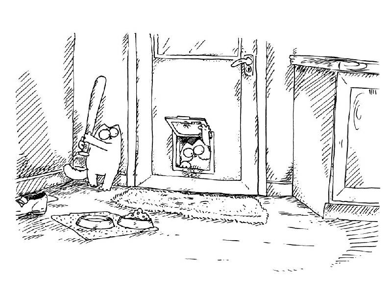 Иллюстрация 42 из 61 для Кот Саймона. Набор подарочный в 3-х книгах - Саймон Тофилд | Лабиринт - книги. Источник: Юта