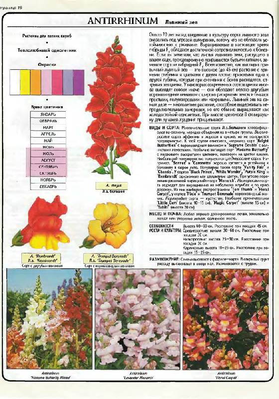 Иллюстрация 14 из 27 для Все о клумбовых растениях - Дэвид Хессайон | Лабиринт - книги. Источник: Кнопа2