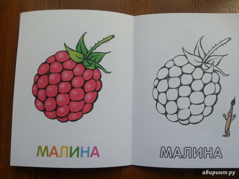 Иллюстрация 20 из 33 для Раскраска для малышей. Ягоды | Лабиринт - книги. Источник: Баскова  Юлия Сергеевна