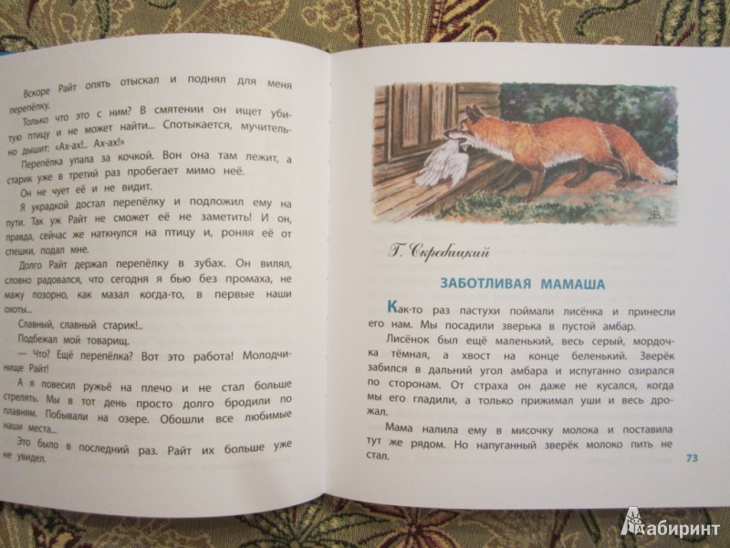 Иллюстрация 14 из 25 для Про хвосты, усы, лапы и носы. Рассказы о животных | Лабиринт - книги. Источник: ЮлияО