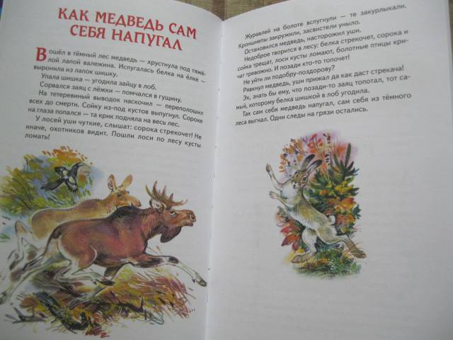 Иллюстрация 23 из 46 для Лесные сказки - Николай Сладков | Лабиринт - книги. Источник: NINANI