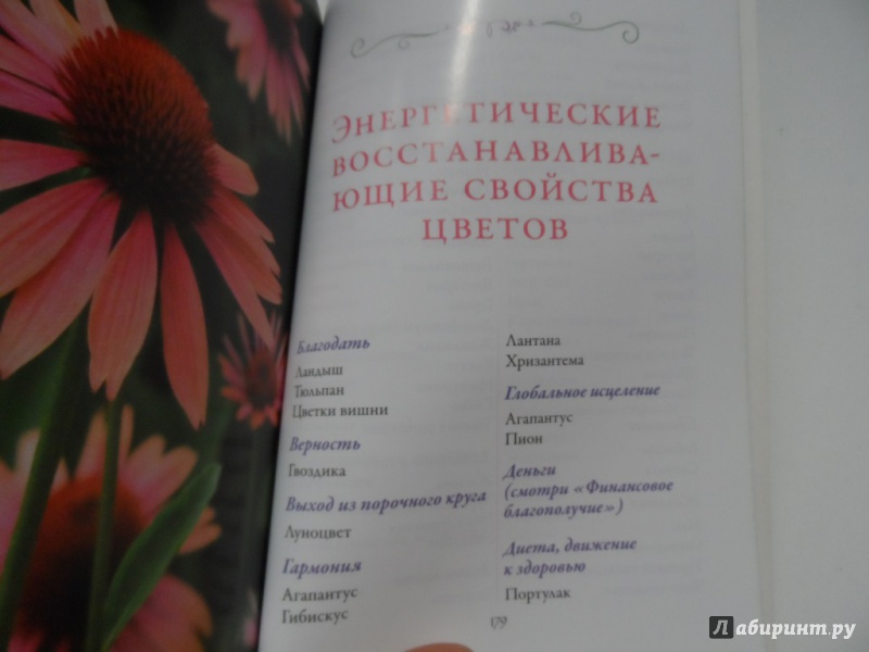 Иллюстрация 21 из 32 для Цветочная терапия - Вирче, Ривс | Лабиринт - книги. Источник: Брежнева  Инга