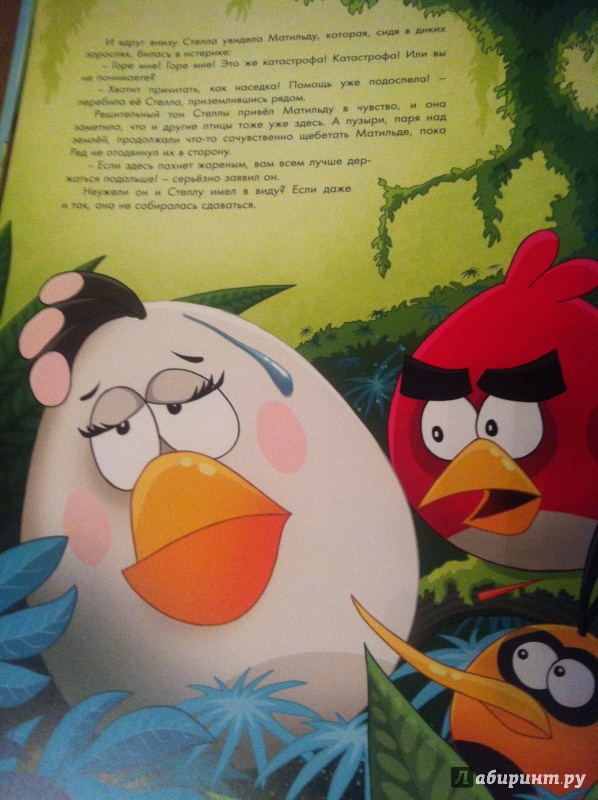 Иллюстрация 14 из 24 для Angry Birds. Стелла и волшебный амулет - Сари Пелтониеми | Лабиринт - книги. Источник: Лабиринт