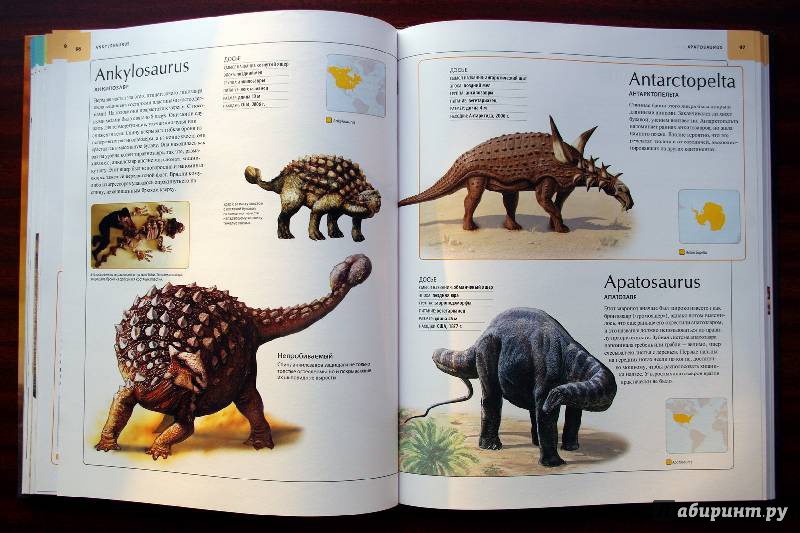 Иллюстрация 30 из 109 для Динозавры. Иллюстрированный атлас - Майкл Бретт-Шуман | Лабиринт - книги. Источник: DARKLIGHT