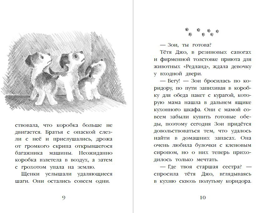 Иллюстрация 30 из 36 для Щенок Крошка, или Друзья навек - Холли Вебб | Лабиринт - книги. Источник: Редактор этой книги
