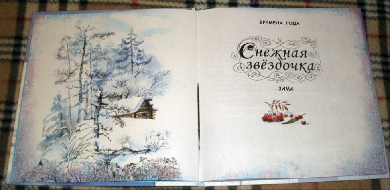 Иллюстрация 2 из 40 для Снежная звёздочка | Лабиринт - книги. Источник: Ёжик