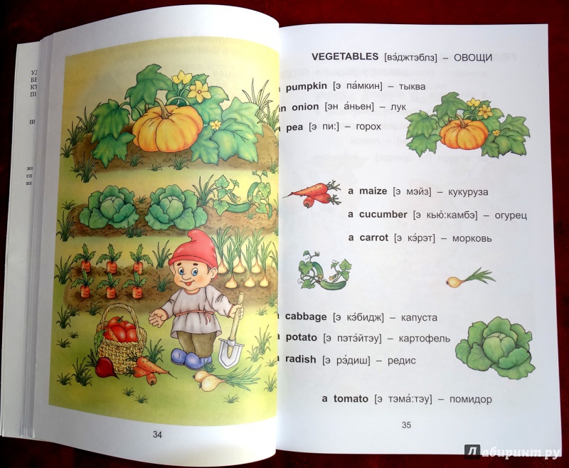 Иллюстрация 38 из 53 для Английский язык для малышей - Валерий Пронин | Лабиринт - книги. Источник: nata_romina