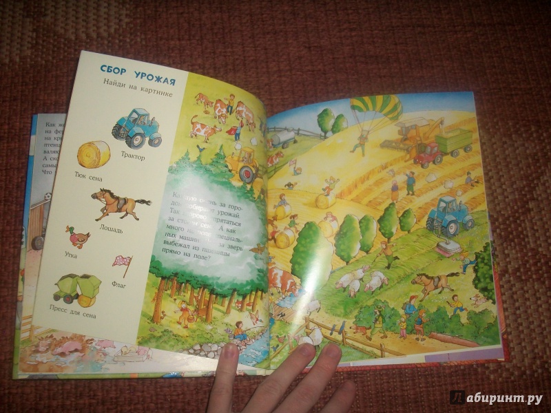Иллюстрация 16 из 42 для Весёлые пряталки в детском саду. Весёлые пряталки за городом (виммельбух) - Lila. Leiber | Лабиринт - книги. Источник: Надежда