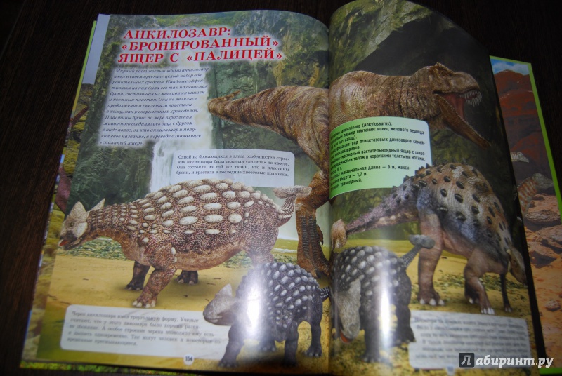 Иллюстрация 17 из 17 для Динозавры - Вячеслав Ликсо | Лабиринт - книги. Источник: Белинская  Мария