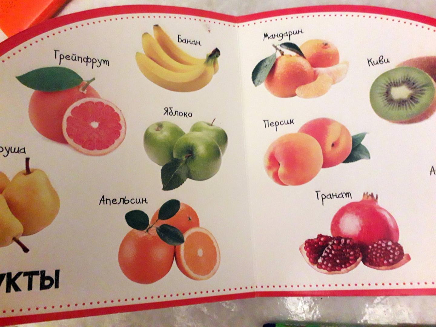 Иллюстрация 4 из 6 для Овощи и фрукты. Смотрим и запоминаем - Мария Жученко | Лабиринт - книги. Источник: Svetok