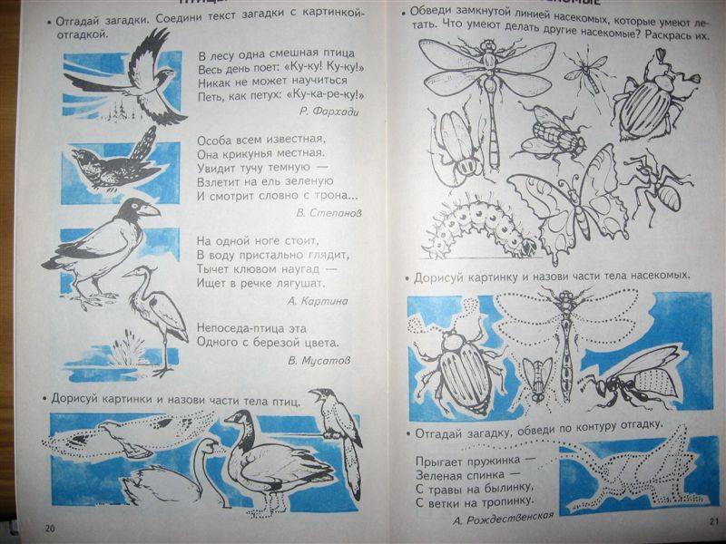 Иллюстрация 3 из 3 для Расширяем словарь малышей 4-5лет (Приложение) - Лариса Козырева | Лабиринт - книги. Источник: Юта