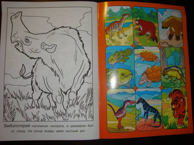 Иллюстрация 3 из 7 для Доисторические животные | Лабиринт - книги. Источник: Ogha