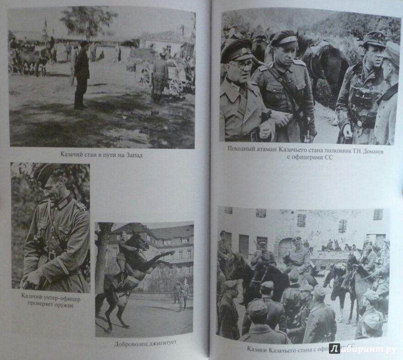 Иллюстрация 33 из 41 для Иностранные формирования Третьего рейха - Дробязко, Романько, Семенов | Лабиринт - книги. Источник: SiB