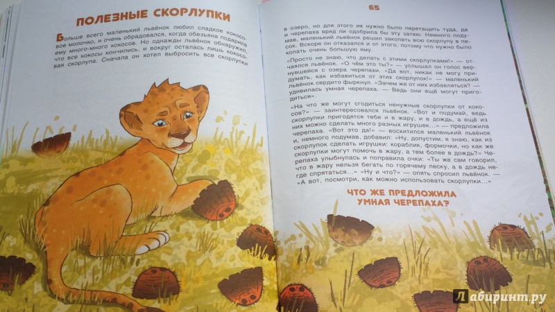 Иллюстрация 22 из 31 для Большие открытия маленького львенка - Владимир Богат | Лабиринт - книги. Источник: Надежда