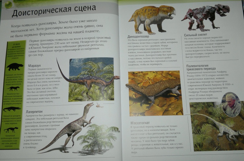 Иллюстрация 7 из 26 для Динозавры - Майк Бентон | Лабиринт - книги. Источник: Леонид Сергеев
