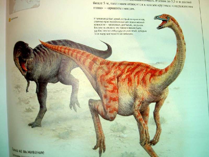 Иллюстрация 85 из 109 для Динозавры. Иллюстрированный атлас - Майкл Бретт-Шуман | Лабиринт - книги. Источник: hellgirl