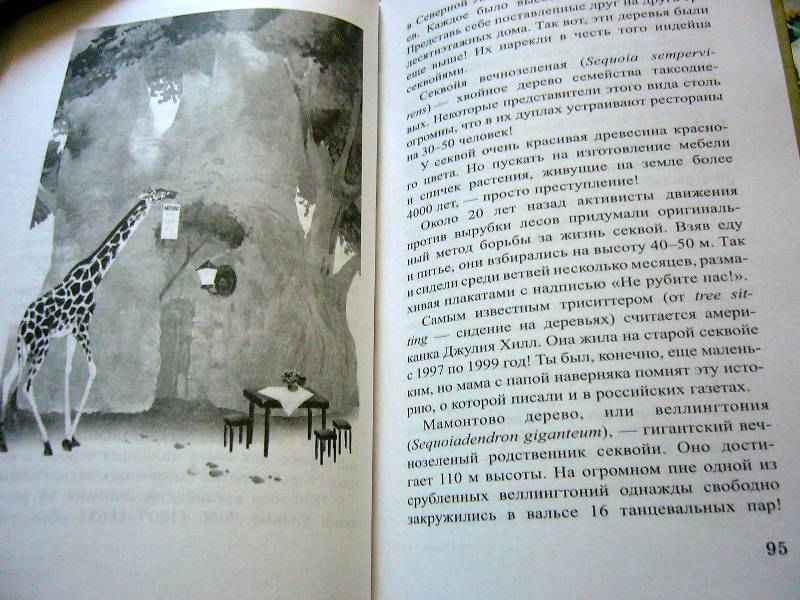 Иллюстрация 15 из 16 для Клад на подоконнике - Ольга Кувыкина | Лабиринт - книги. Источник: Nika
