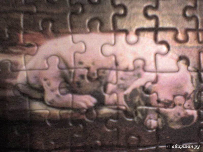 Иллюстрация 5 из 6 для Puzzle-1000 "Друзья - Ангелы" (C-103225) | Лабиринт - игрушки. Источник: Роза с шипами