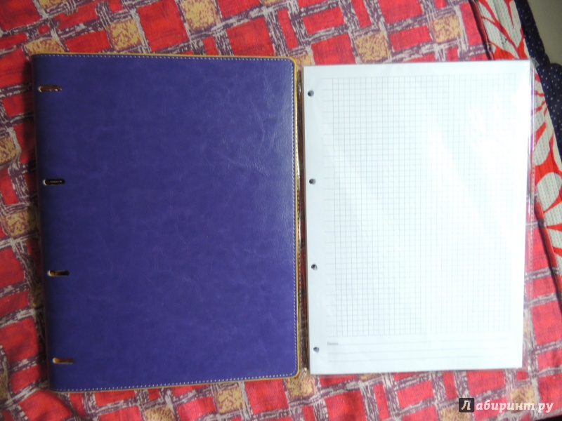 Иллюстрация 1 из 11 для Тетрадь на кольцах "Copybook" со сменным блоком (200 листов, А4+, фиолетово-желтая) (37937) | Лабиринт - канцтовы. Источник: WasiaShtein