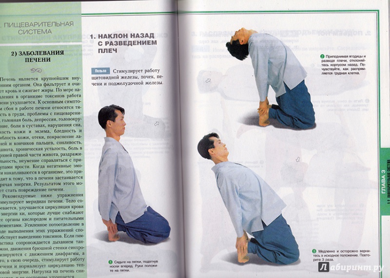 Иллюстрация 4 из 17 для Данхак. Меридианная гимнастика для самоисцеления - Ли Ильчи | Лабиринт - книги. Источник: Amber