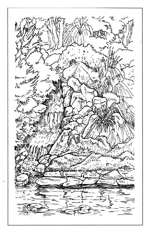 Иллюстрация 34 из 40 для Фантазии из камня для вашего сада - Анна Зайцева | Лабиринт - книги. Источник: фиалка