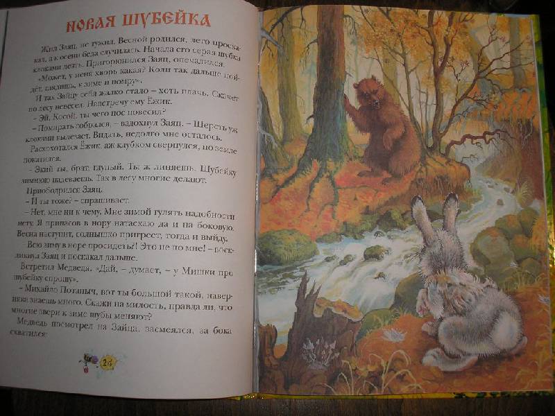 Иллюстрация 30 из 32 для Сказки Дремучего леса - Тамара Крюкова | Лабиринт - книги. Источник: Angela_mama