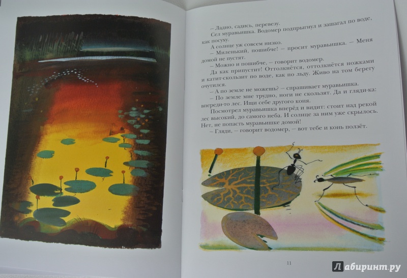 Иллюстрация 22 из 59 для Как муравьишка домой спешил - Виталий Бианки | Лабиринт - книги. Источник: adsveta