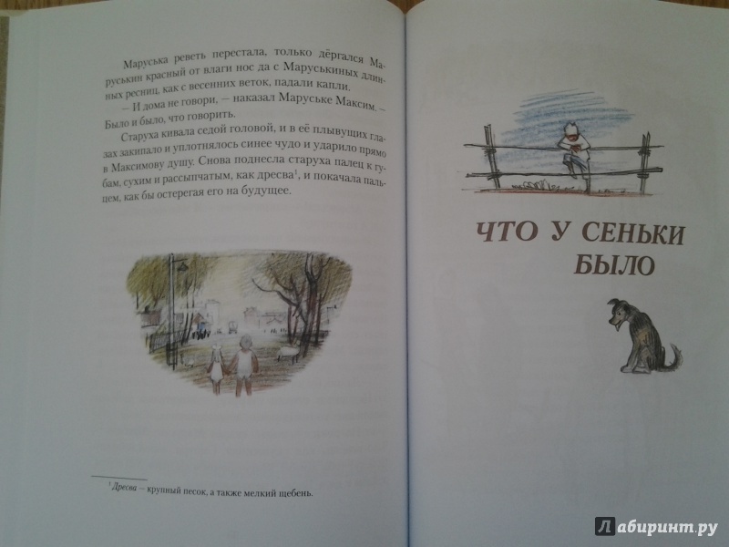 Иллюстрация 41 из 47 для Что у Сеньки было - Радий Погодин | Лабиринт - книги. Источник: Olga