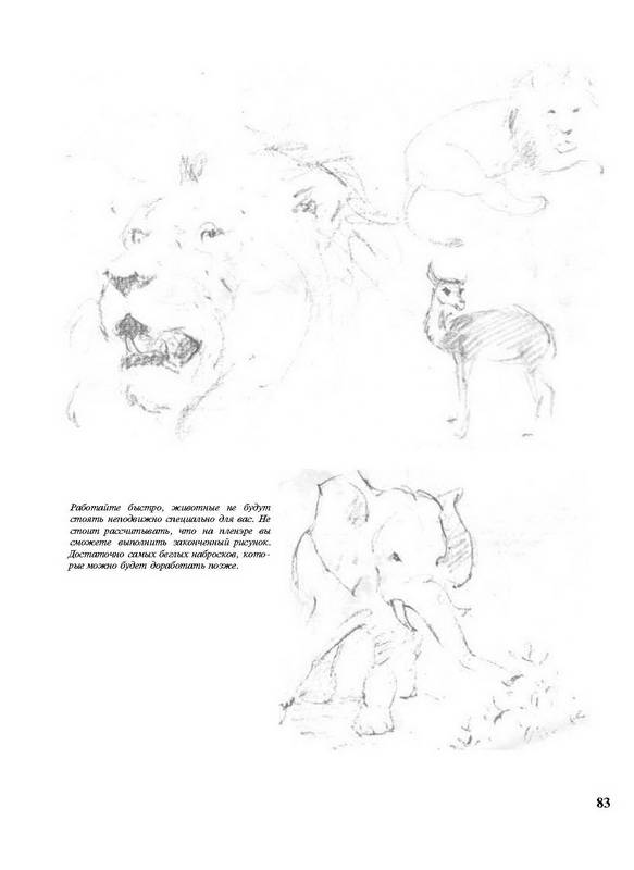 Иллюстрация 34 из 38 для Основы рисования | Лабиринт - книги. Источник: Ялина