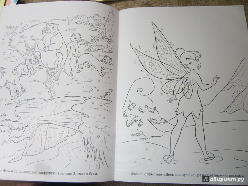 Иллюстрация 2 из 26 для Волшебная раскраска. Феи. Тайна зимнего леса (№14005) | Лабиринт - книги. Источник: Карпеченко  Юля