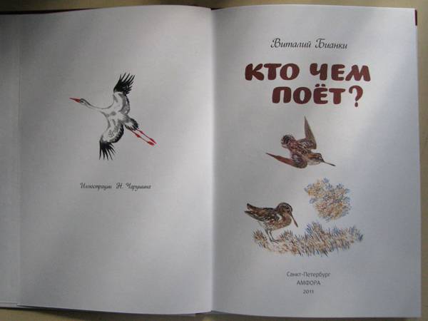 Иллюстрация 18 из 37 для Кто чем поет? - Виталий Бианки | Лабиринт - книги. Источник: jiv